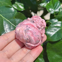 Peruvian Rhodonite Dragon-Turtle Carving