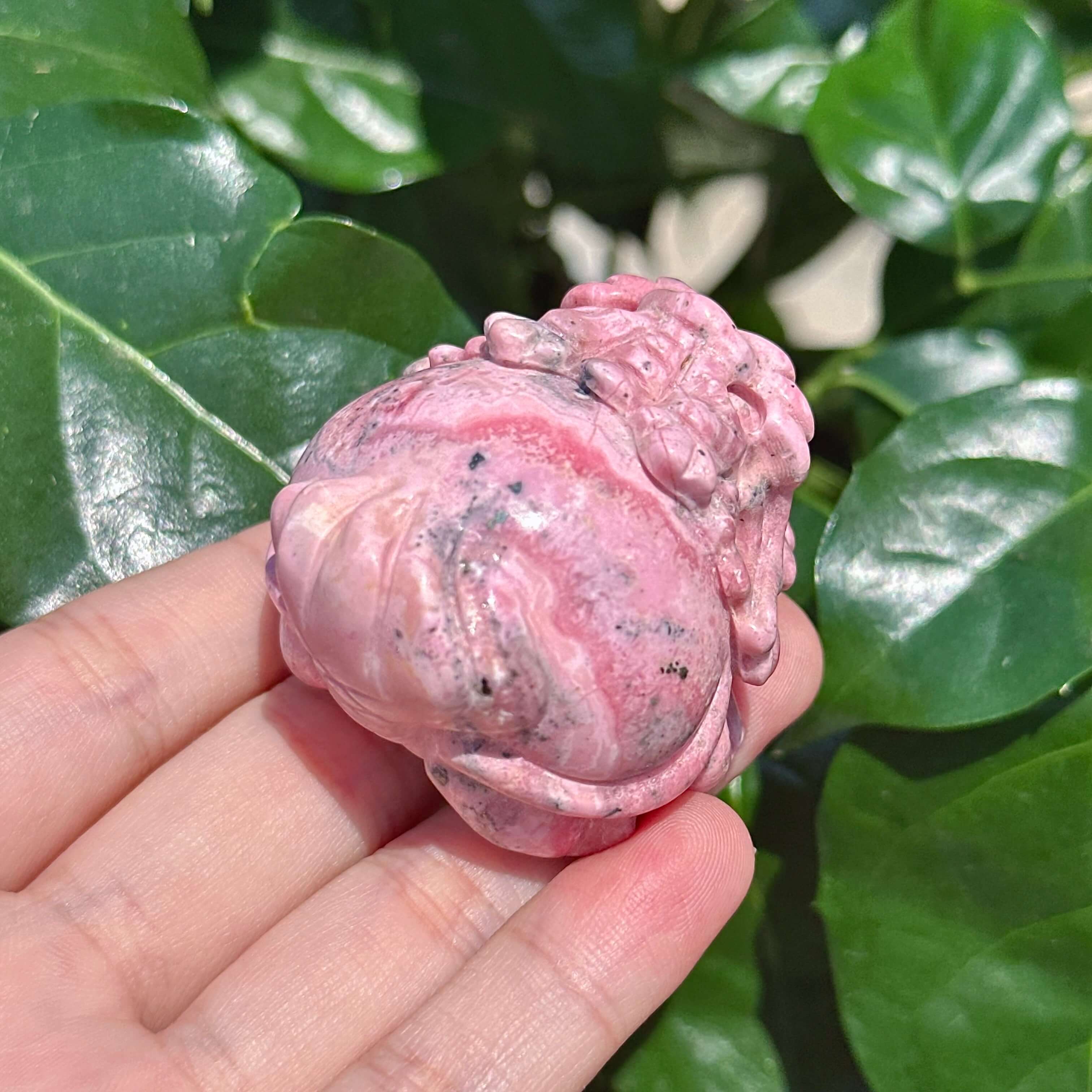 Peruvian Rhodonite Dragon-Turtle Carving