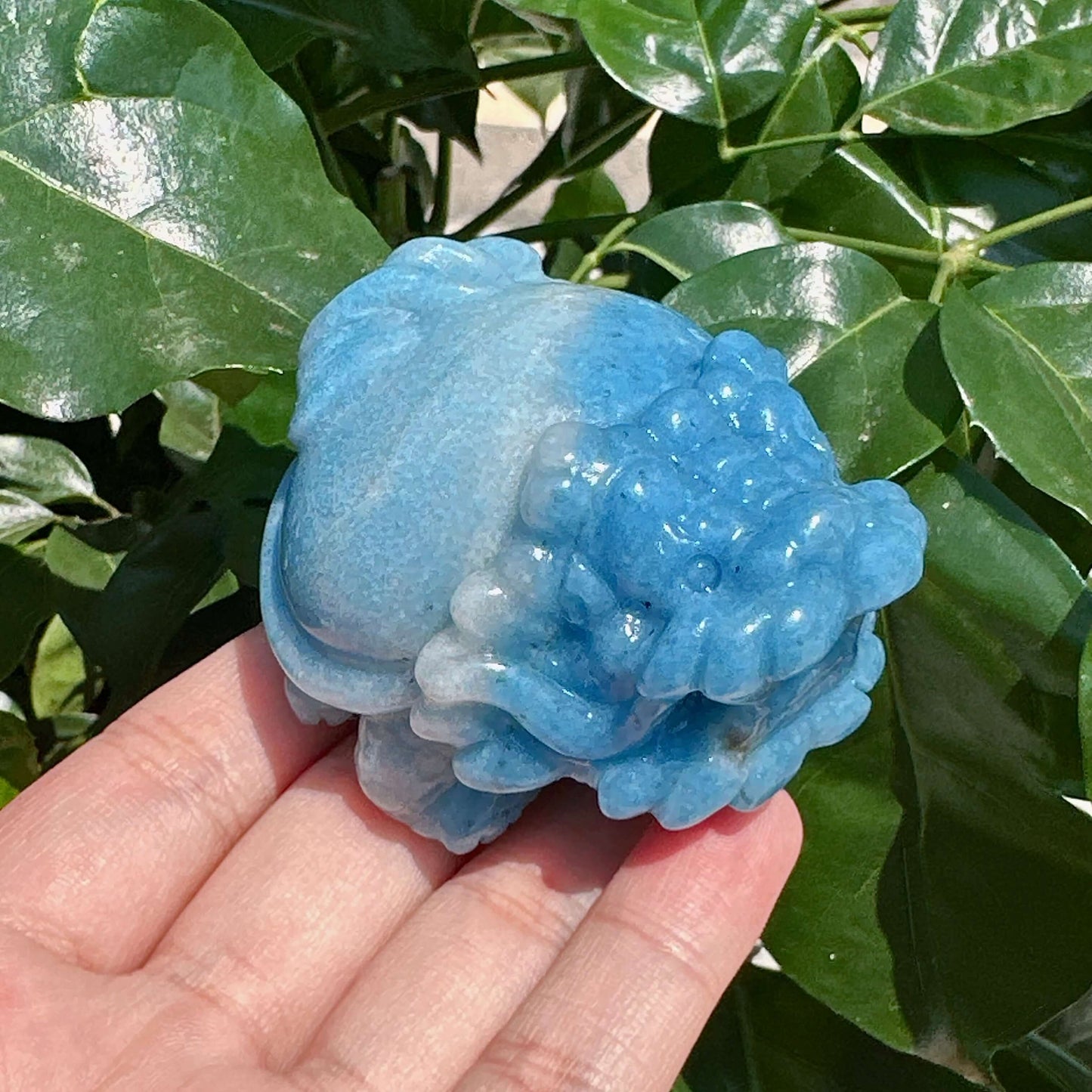 Trolleite Dragon-Turtle Carving
