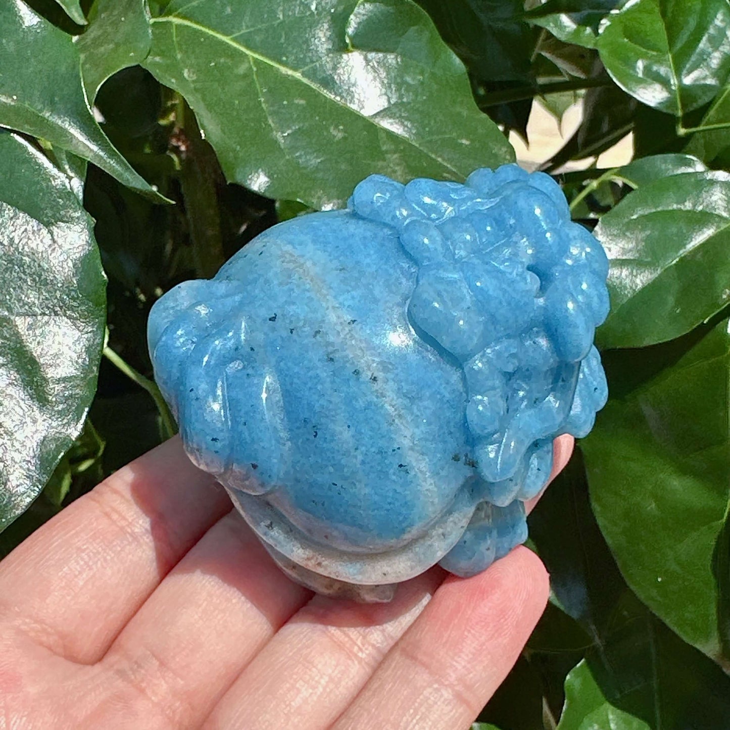 Trolleite Dragon-Turtle Carving