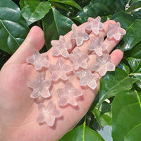Rose Quartz Starfish Carving
