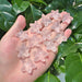 Rose Quartz Starfish Carving