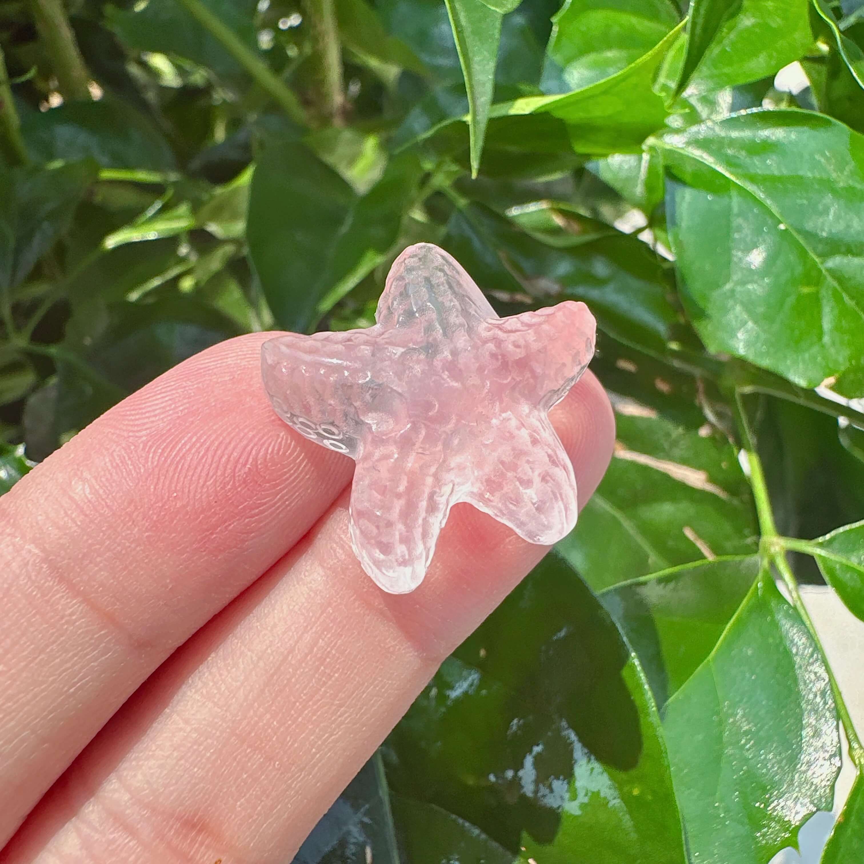 Rose Quartz Starfish Carving