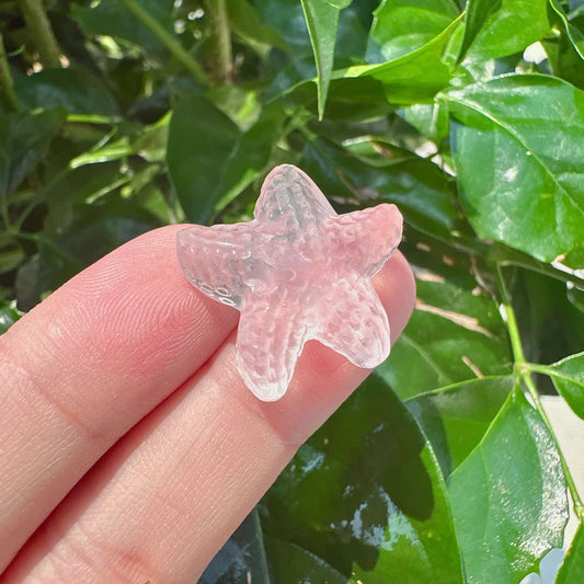Rose Quartz Starfish Carving