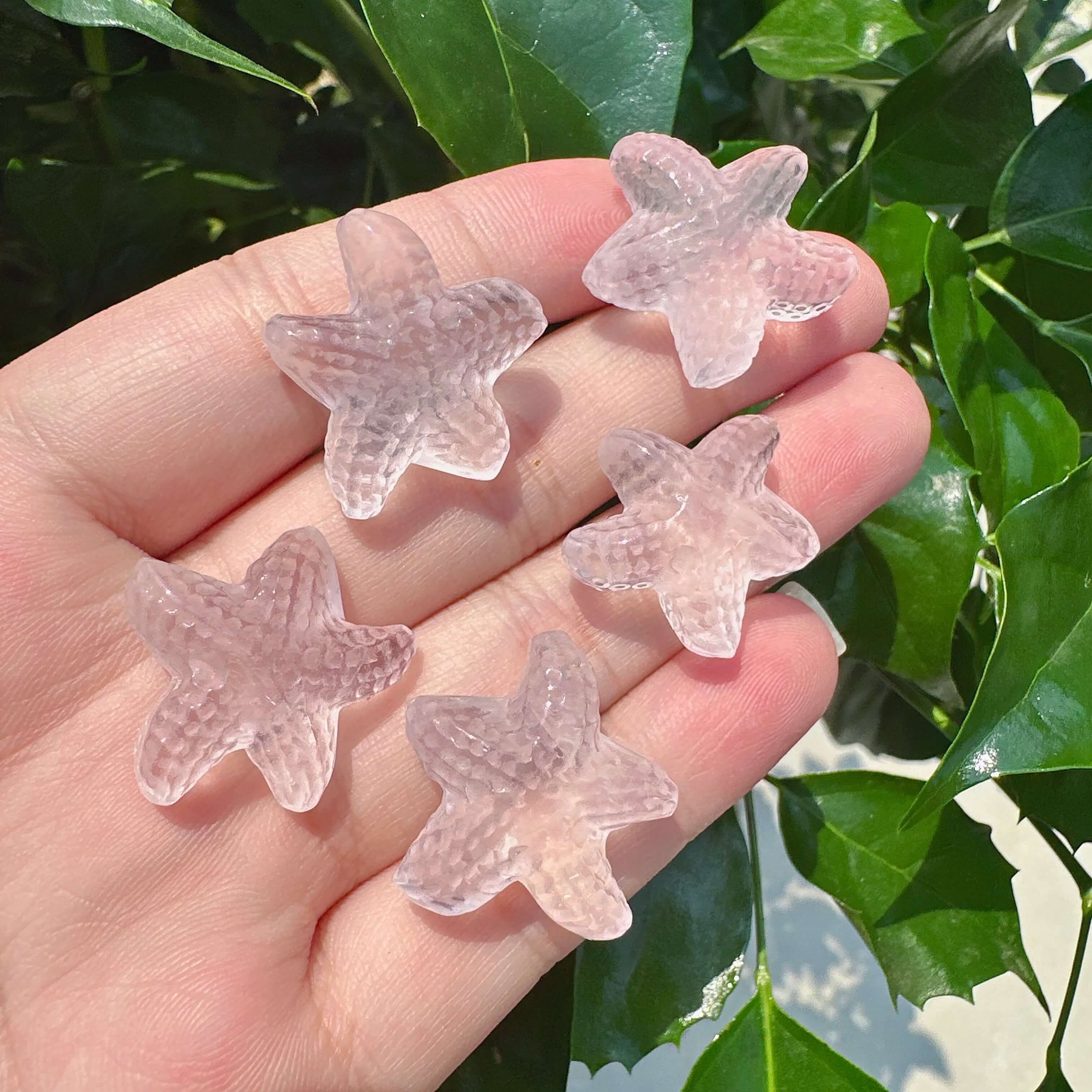 Rose Quartz Starfish Carving