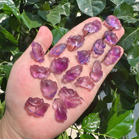 Amethyst Goldfish Carving