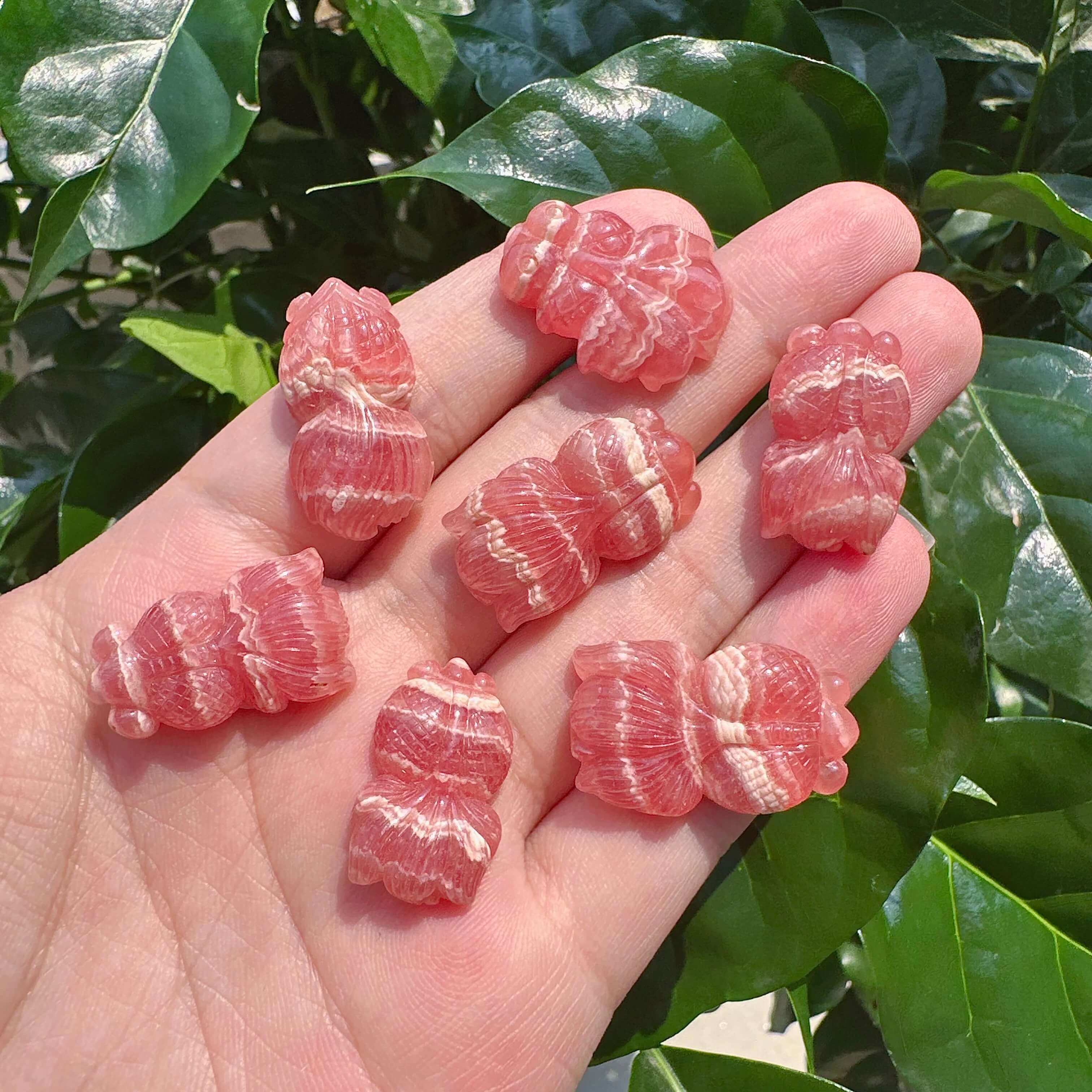 Rhodochrosite Goldfish Carving