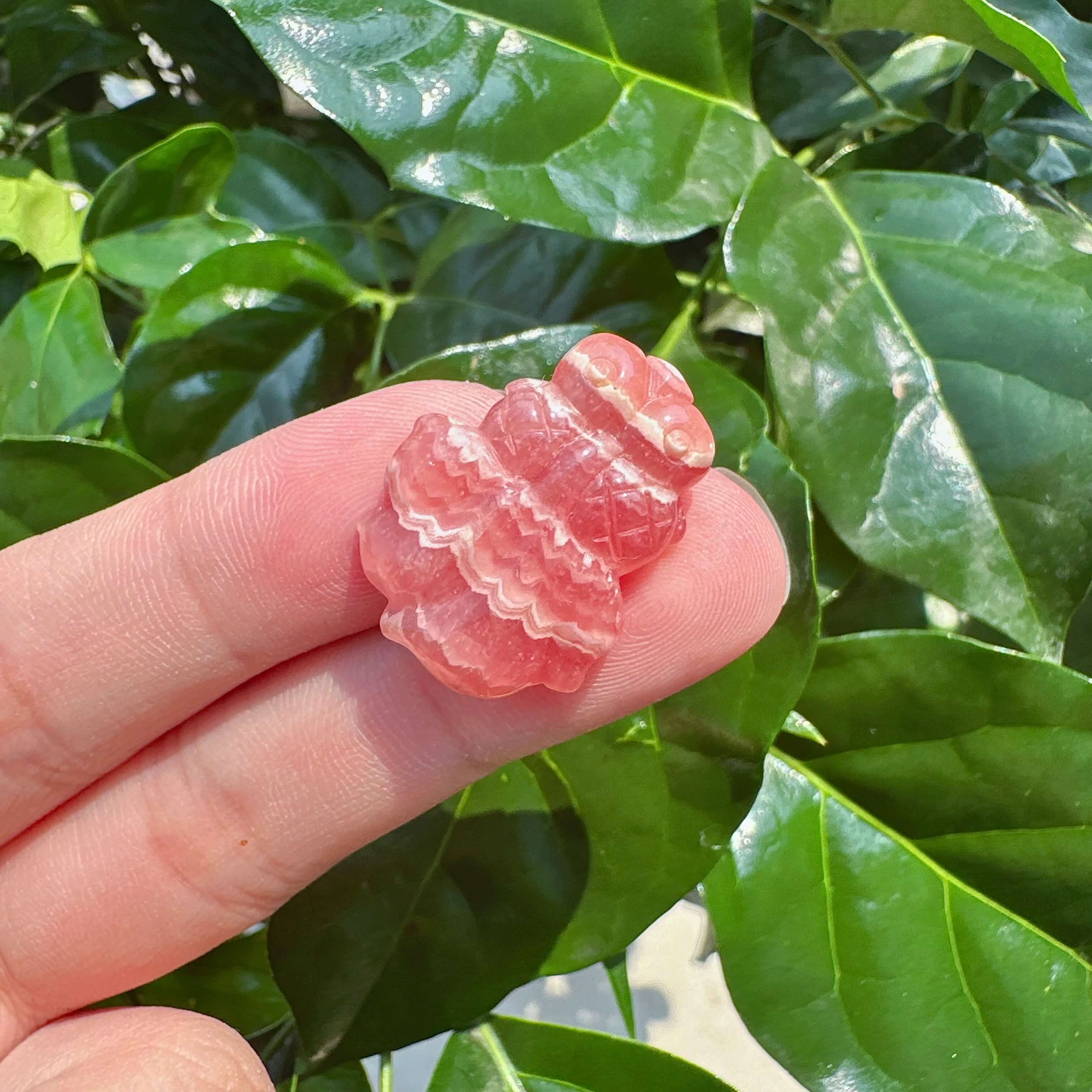 Rhodochrosite Goldfish Carving