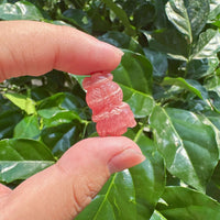 Rhodochrosite Goldfish Carving