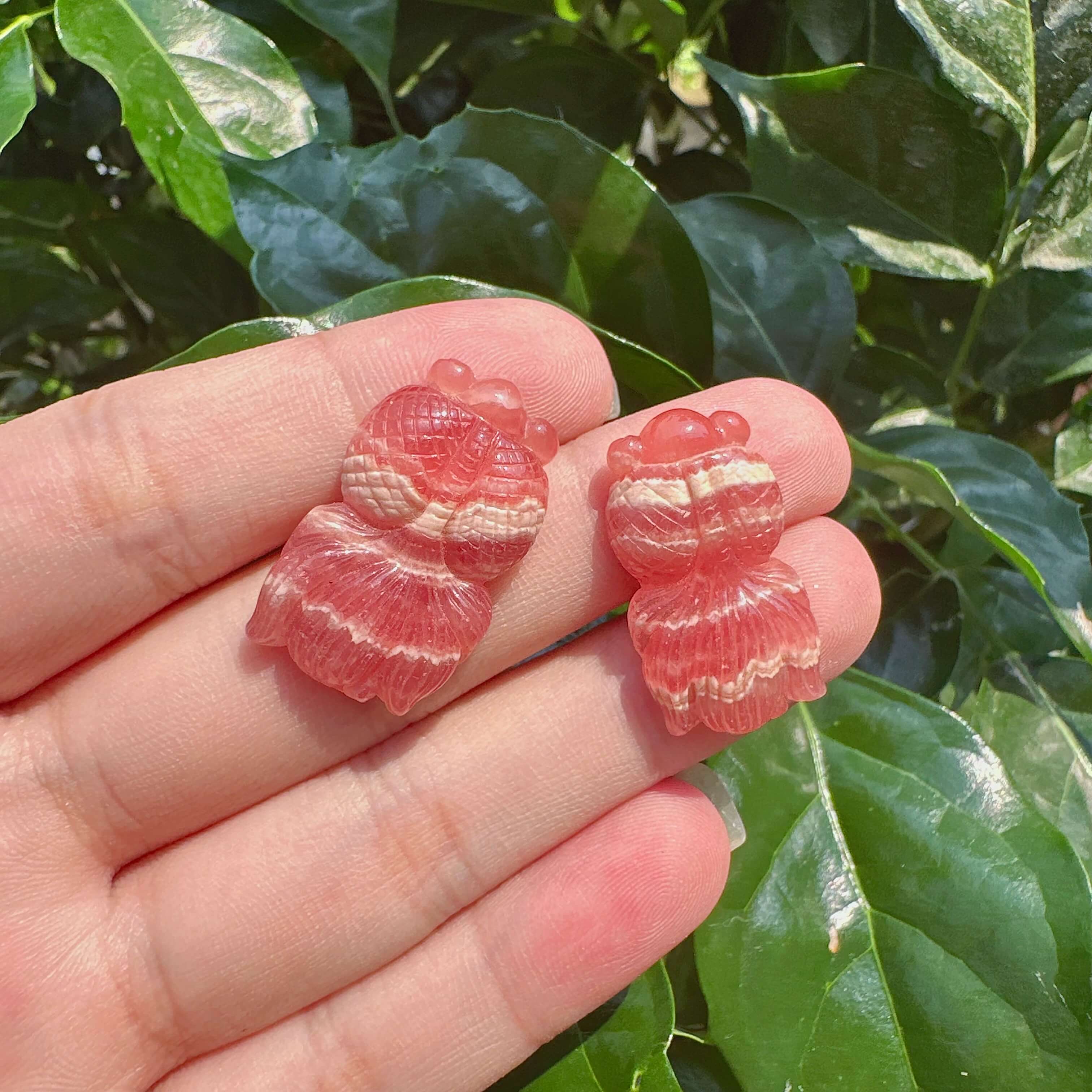 Rhodochrosite Goldfish Carving