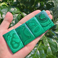 Malachite Brand
