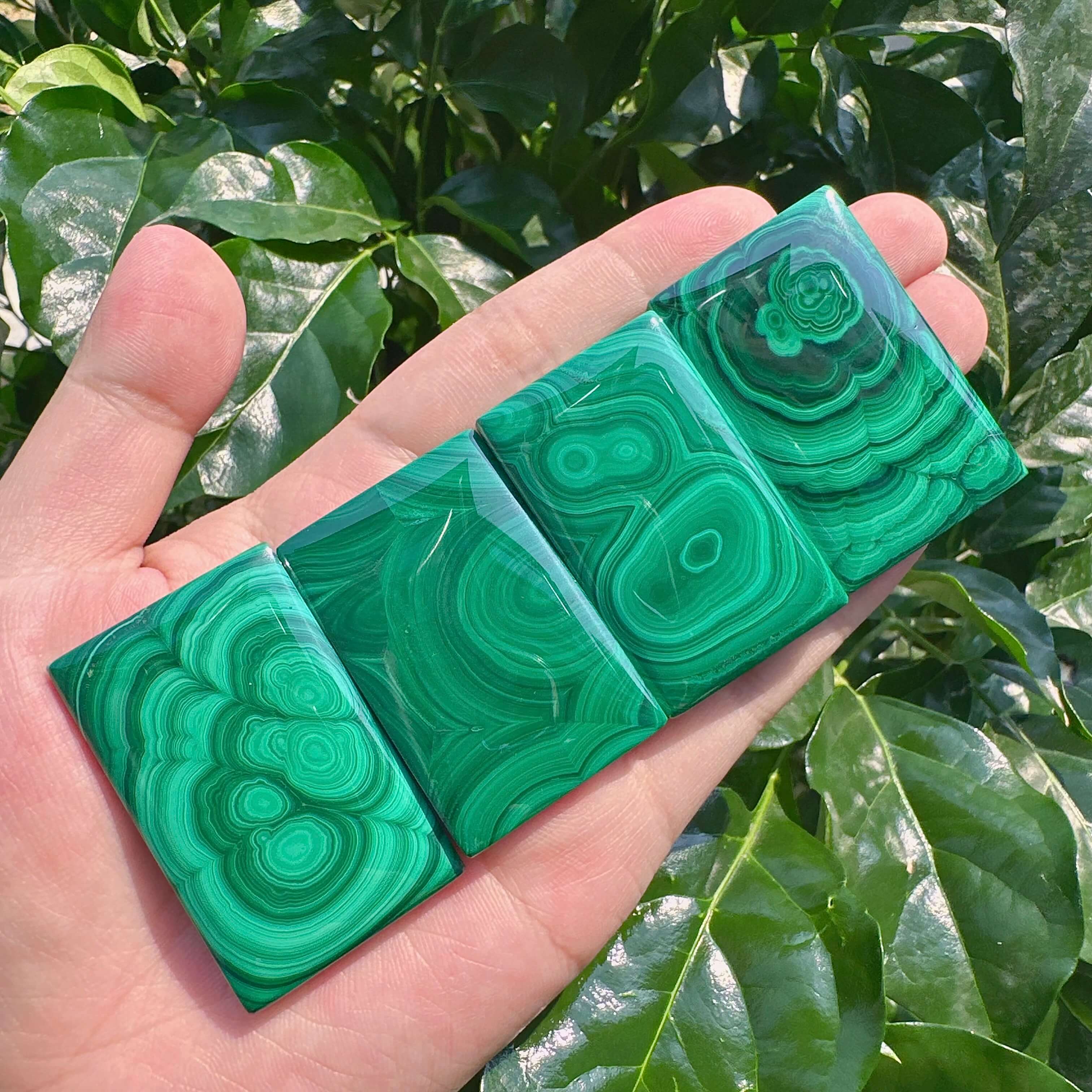 Malachite Brand