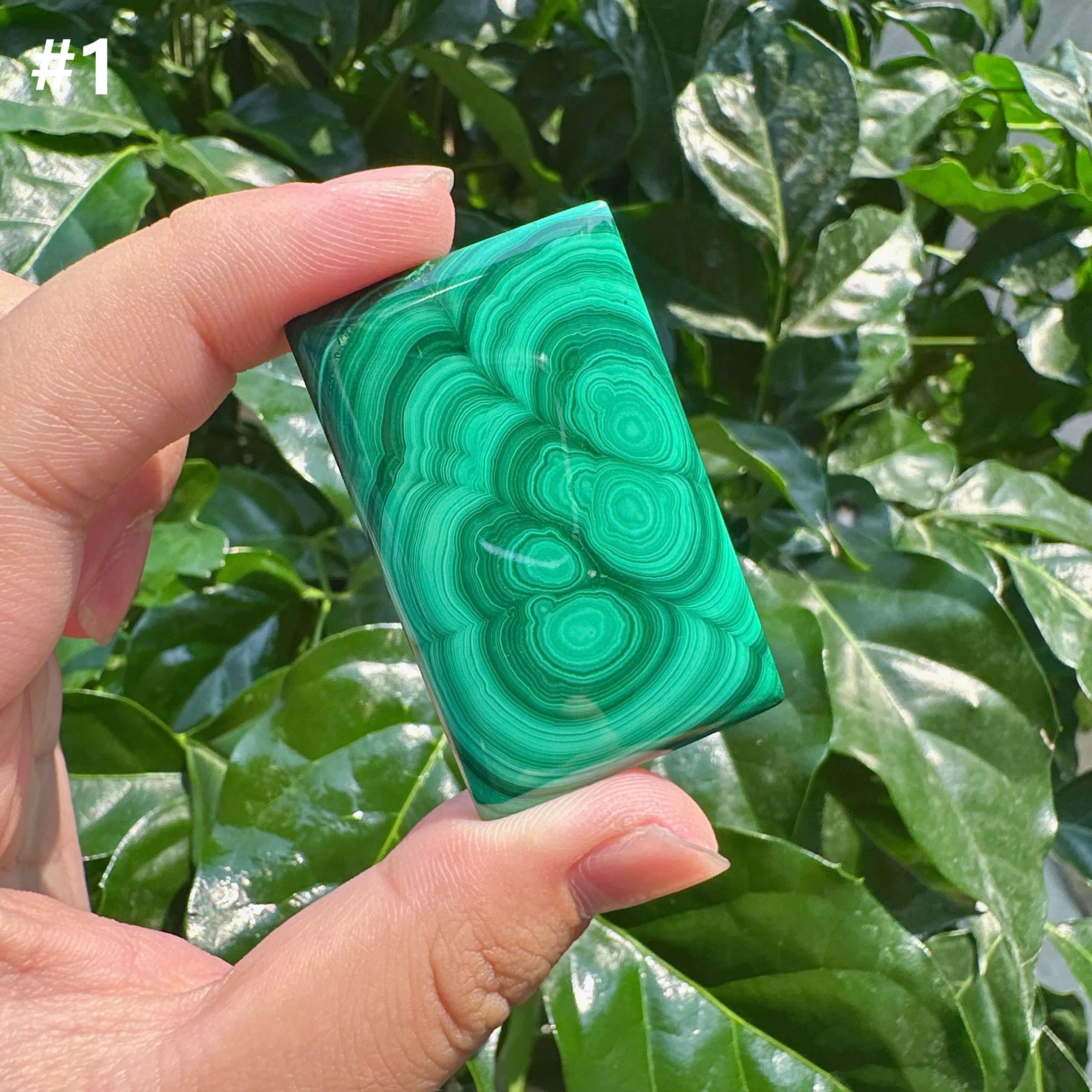 Malachite Brand