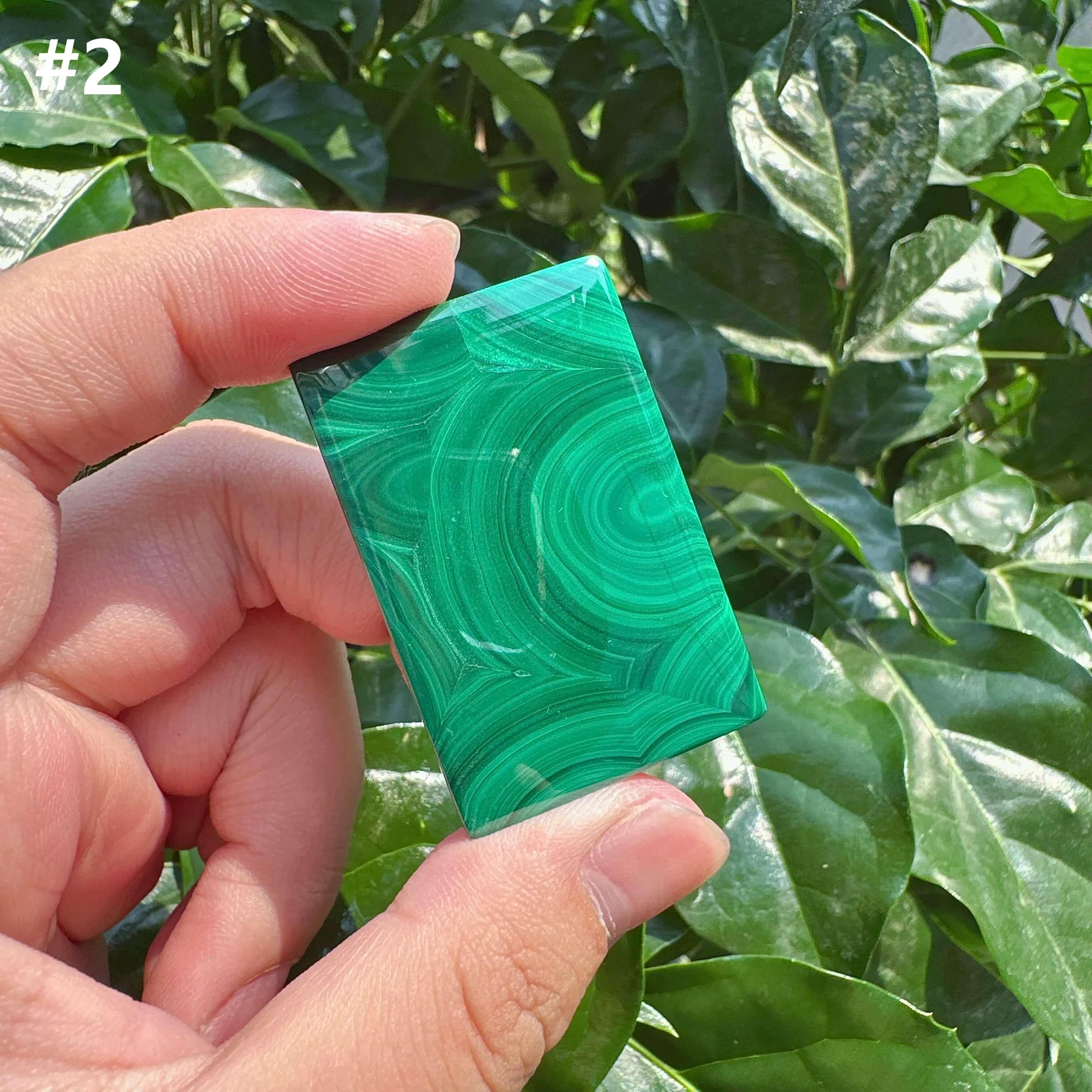 Malachite Brand