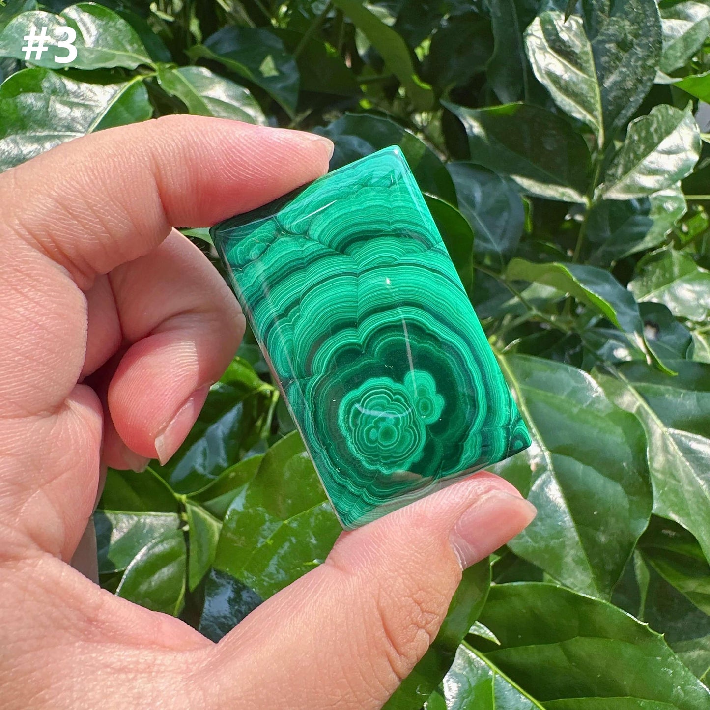 Malachite Brand