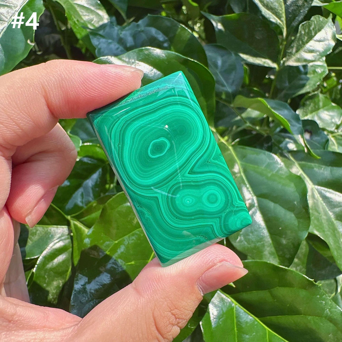 Malachite Brand