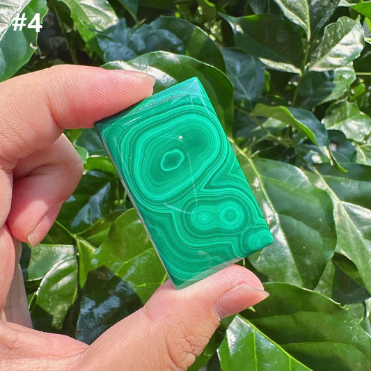 Malachite Brand