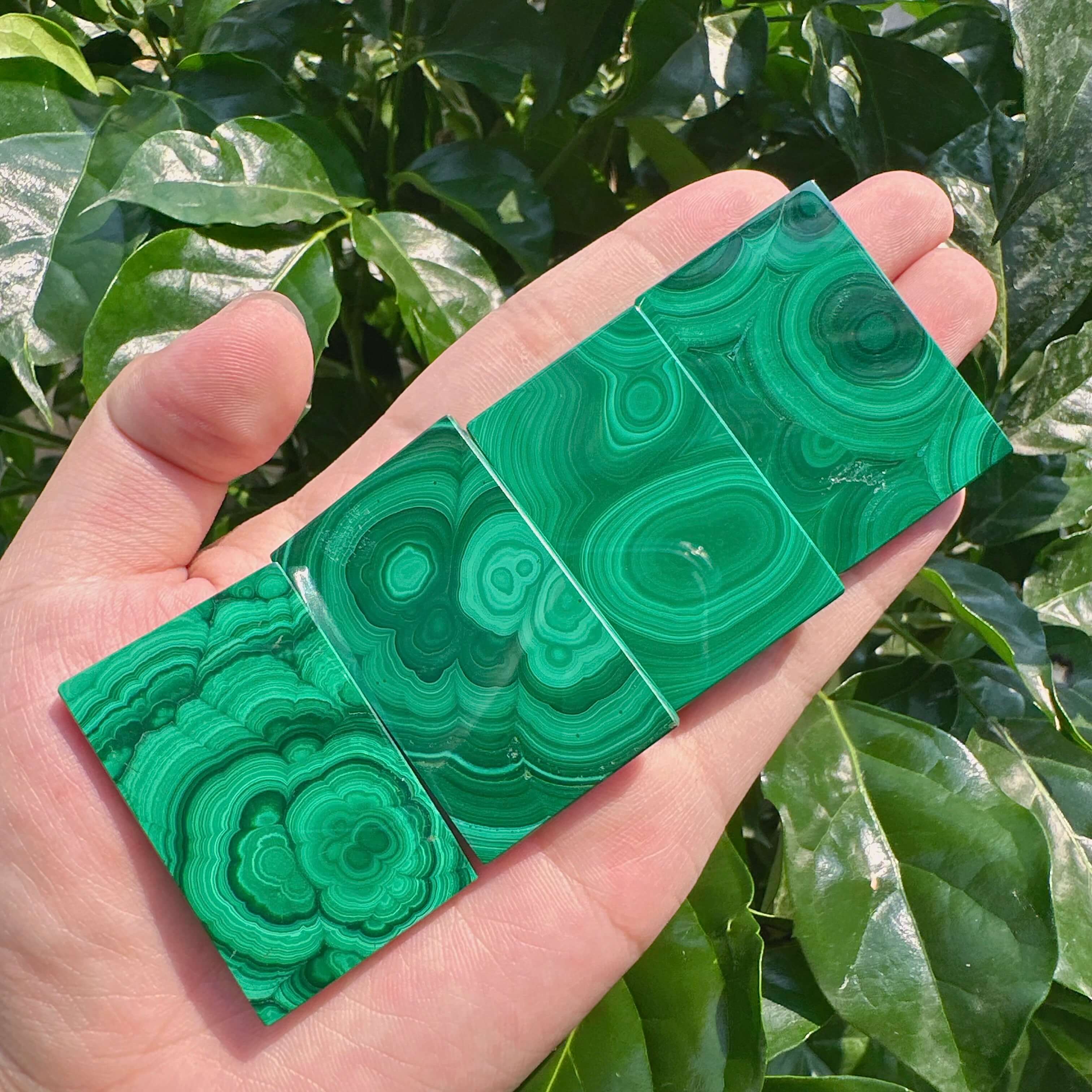 Malachite Brand