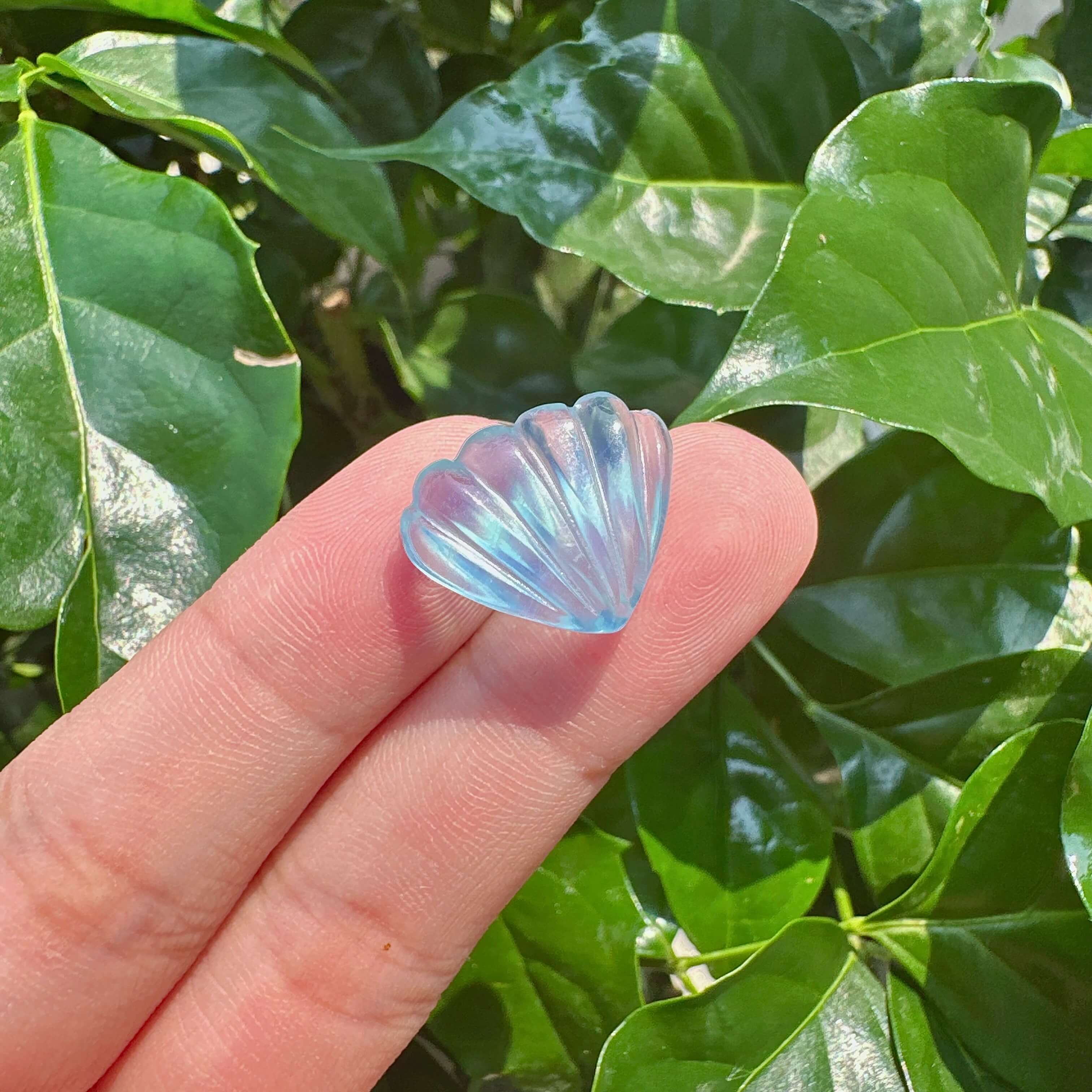 Aquamarine Shell Carving
