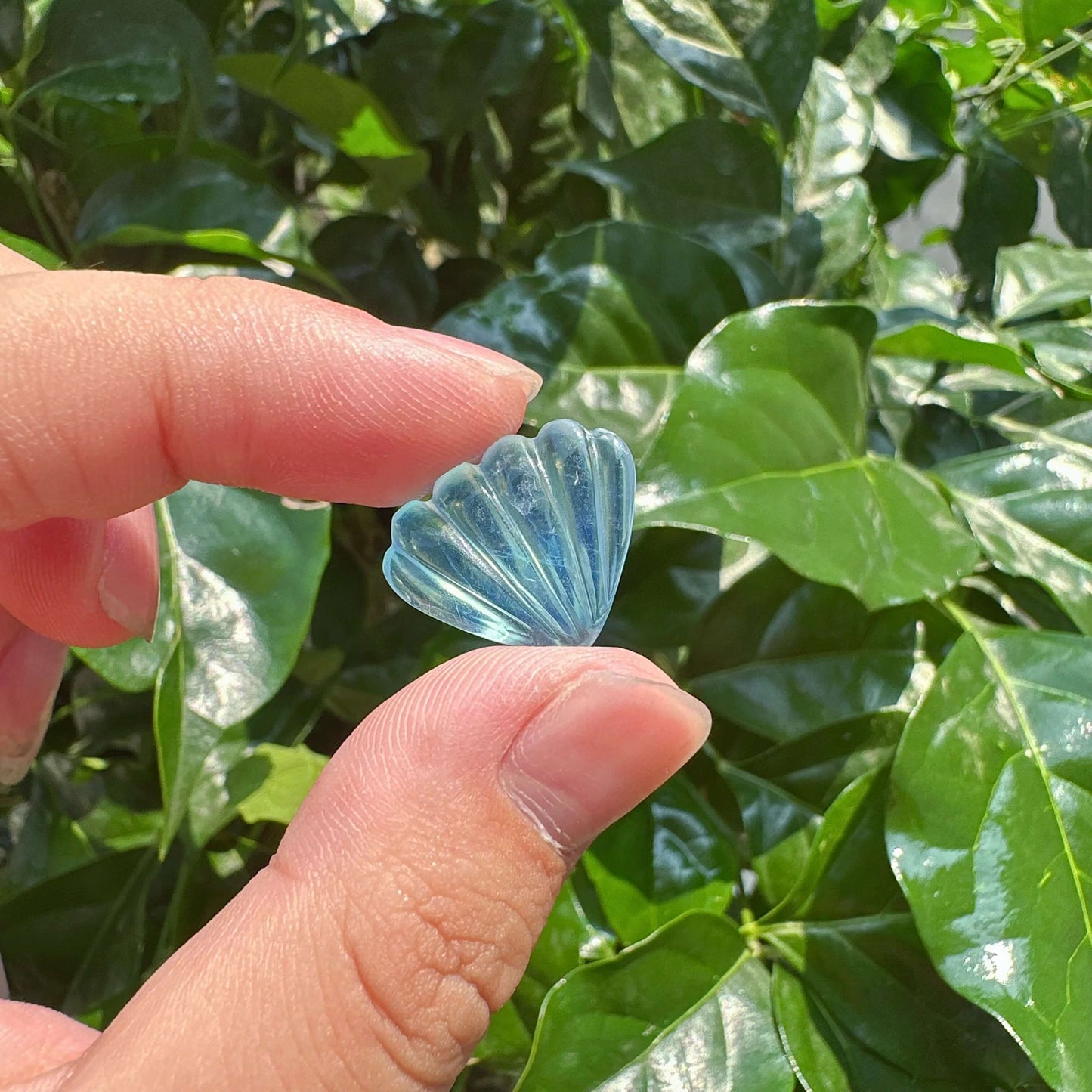 Aquamarine Shell Carving