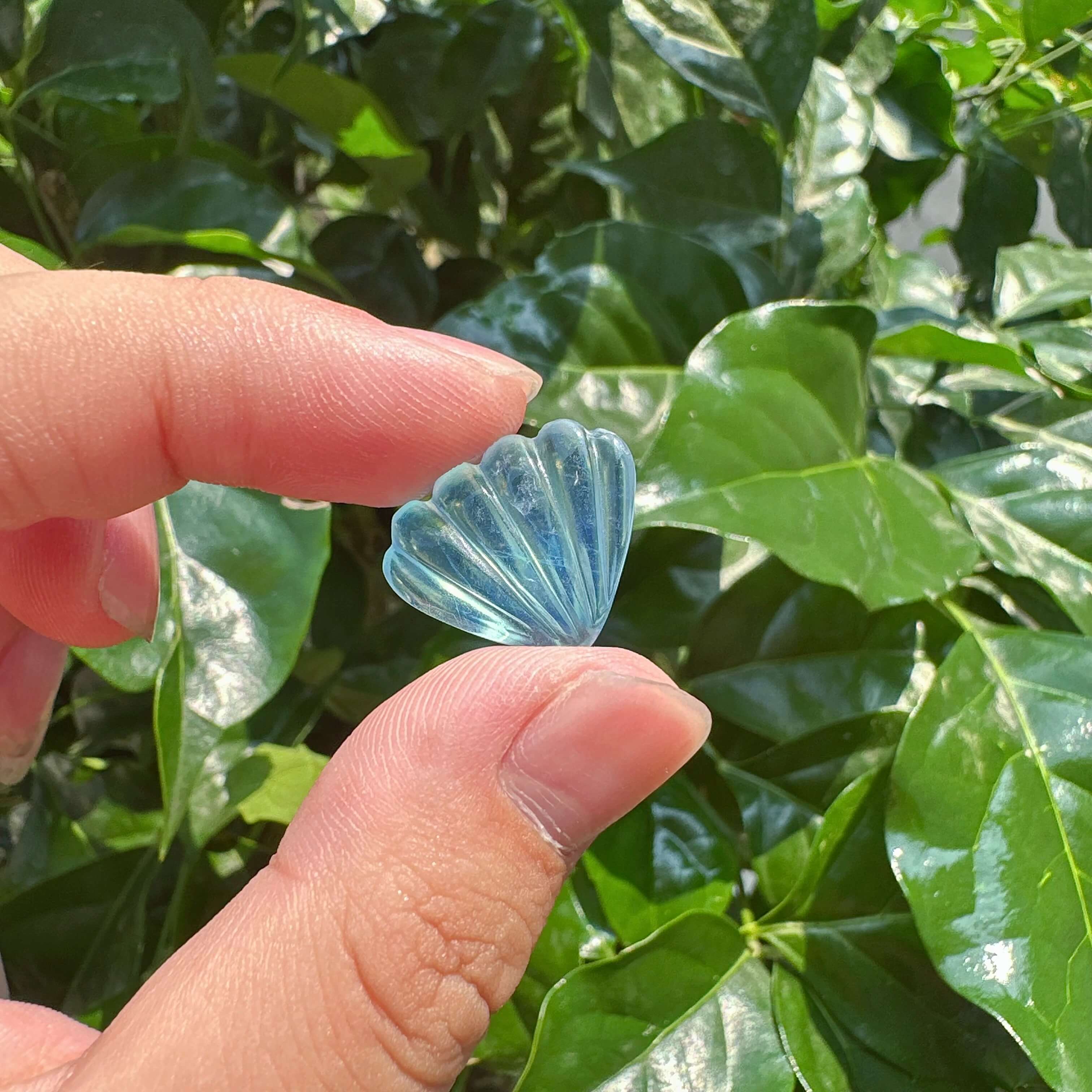 Aquamarine Shell Carving
