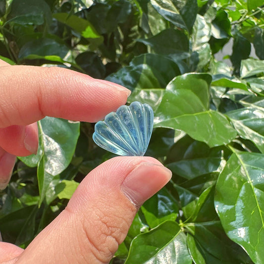Aquamarine Shell Carving