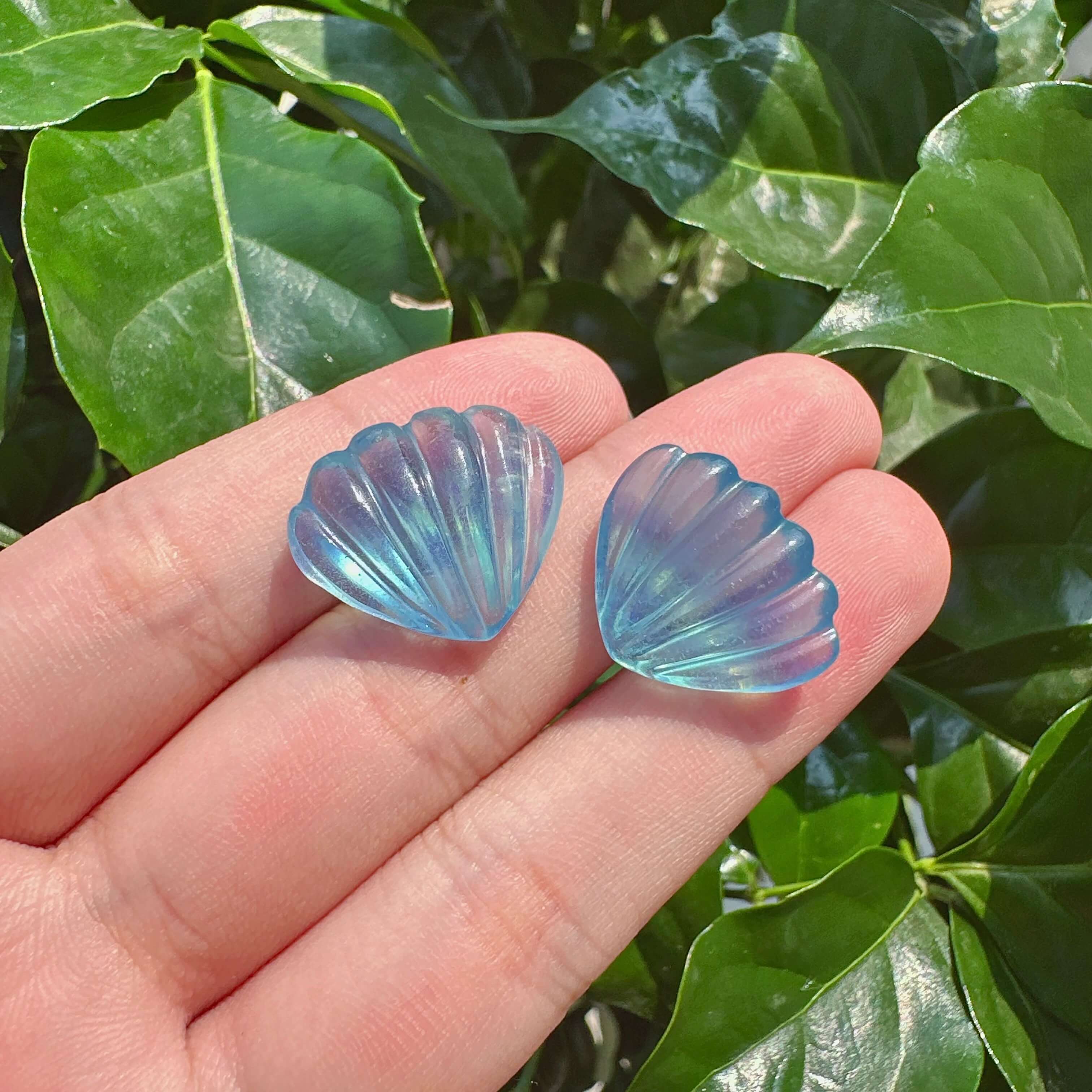 Aquamarine Shell Carving