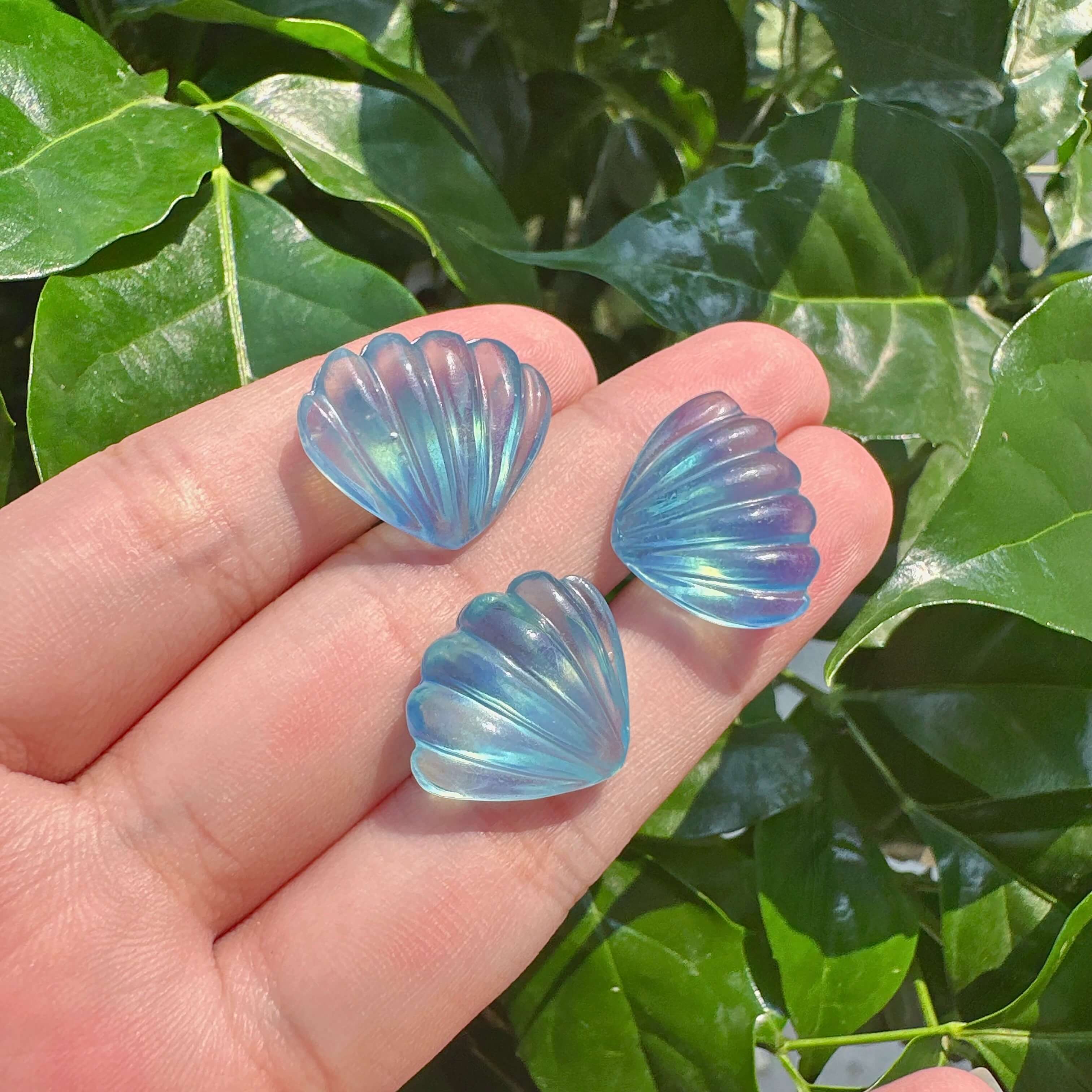 Aquamarine Shell Carving