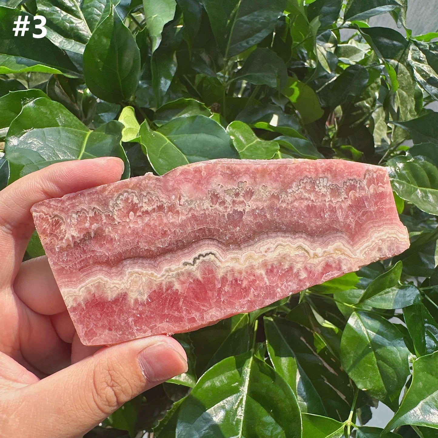 Rhodochrosite Slab