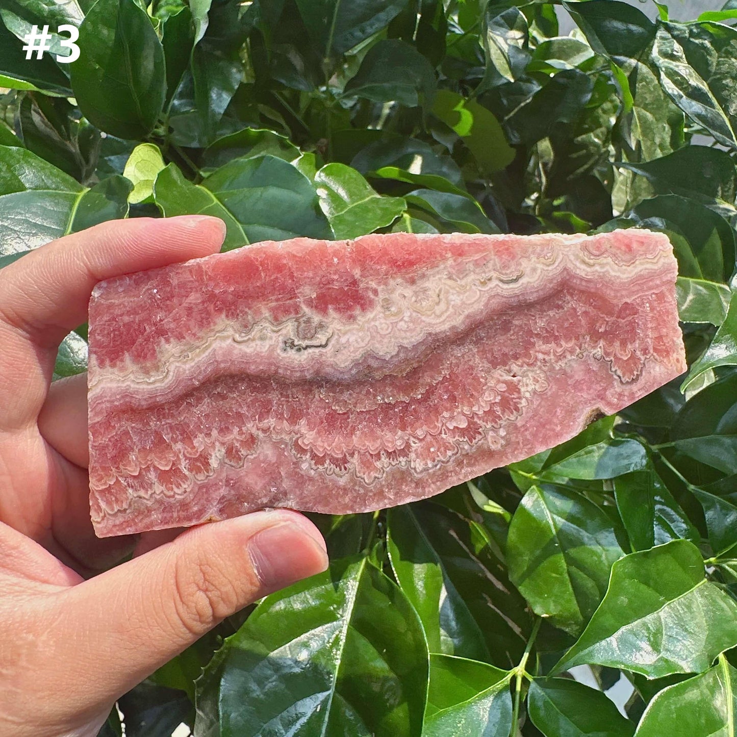 Rhodochrosite Slab