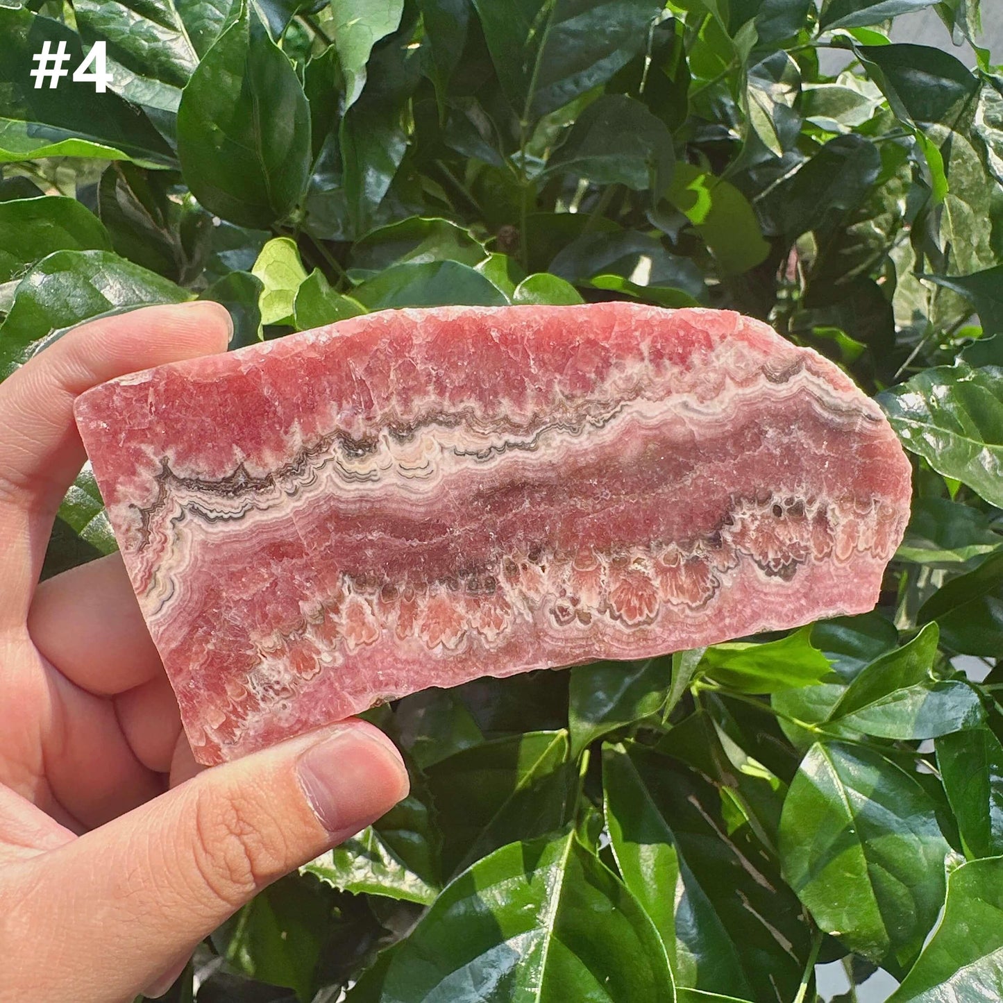 Rhodochrosite Slab