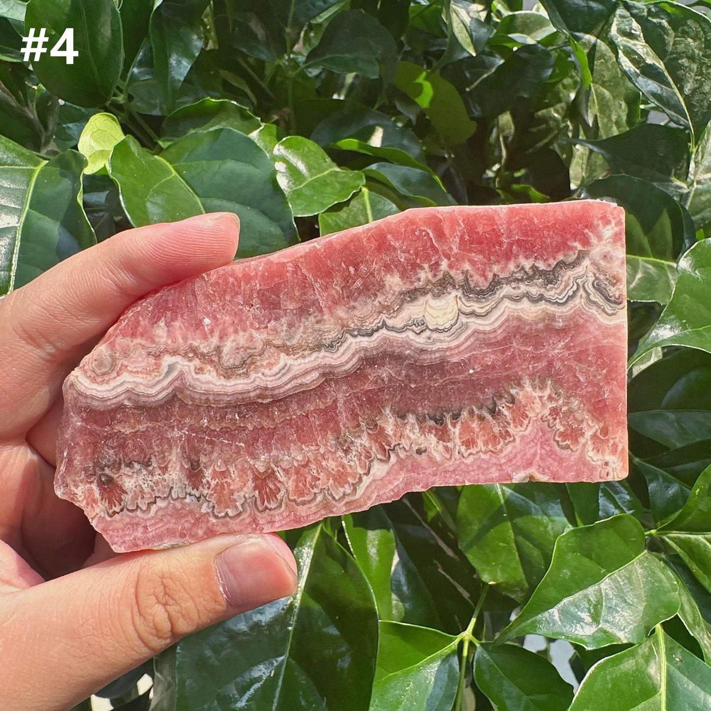 Rhodochrosite Slab
