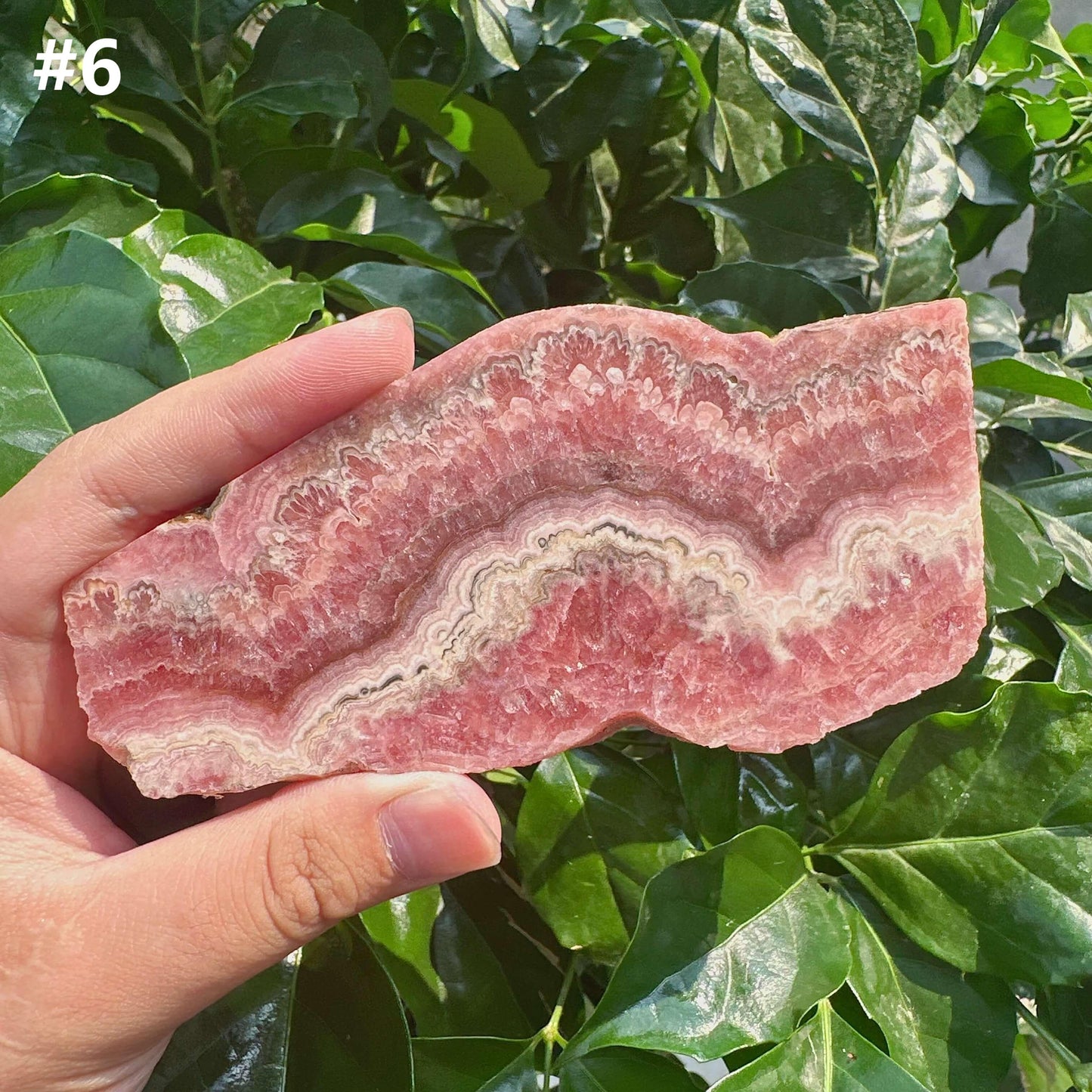 Rhodochrosite Slab