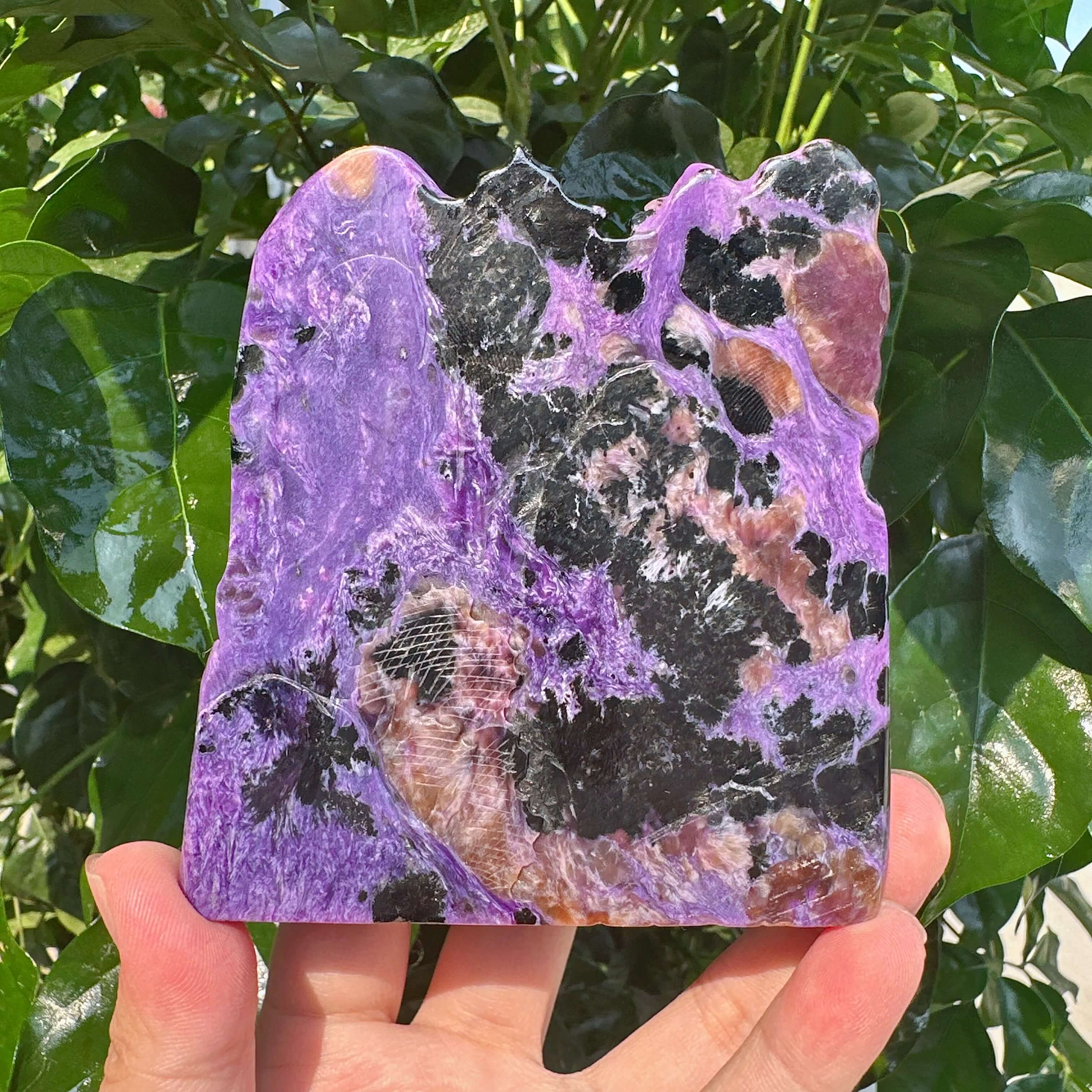 Charoite Landscape Carving