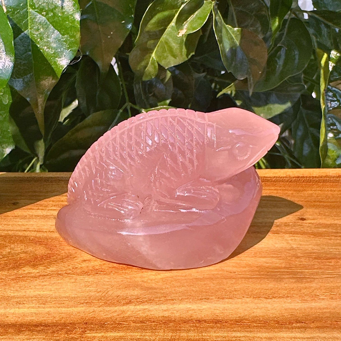 Rose Quartz Lizard Carving