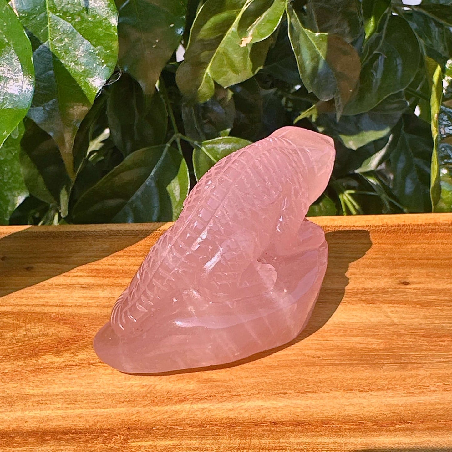 Rose Quartz Lizard Carving