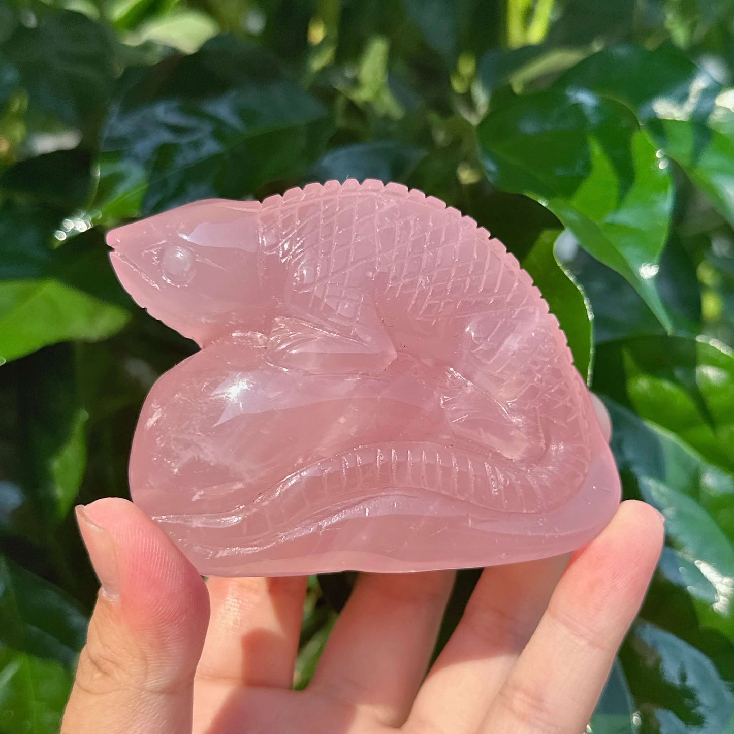 Rose Quartz Lizard Carving
