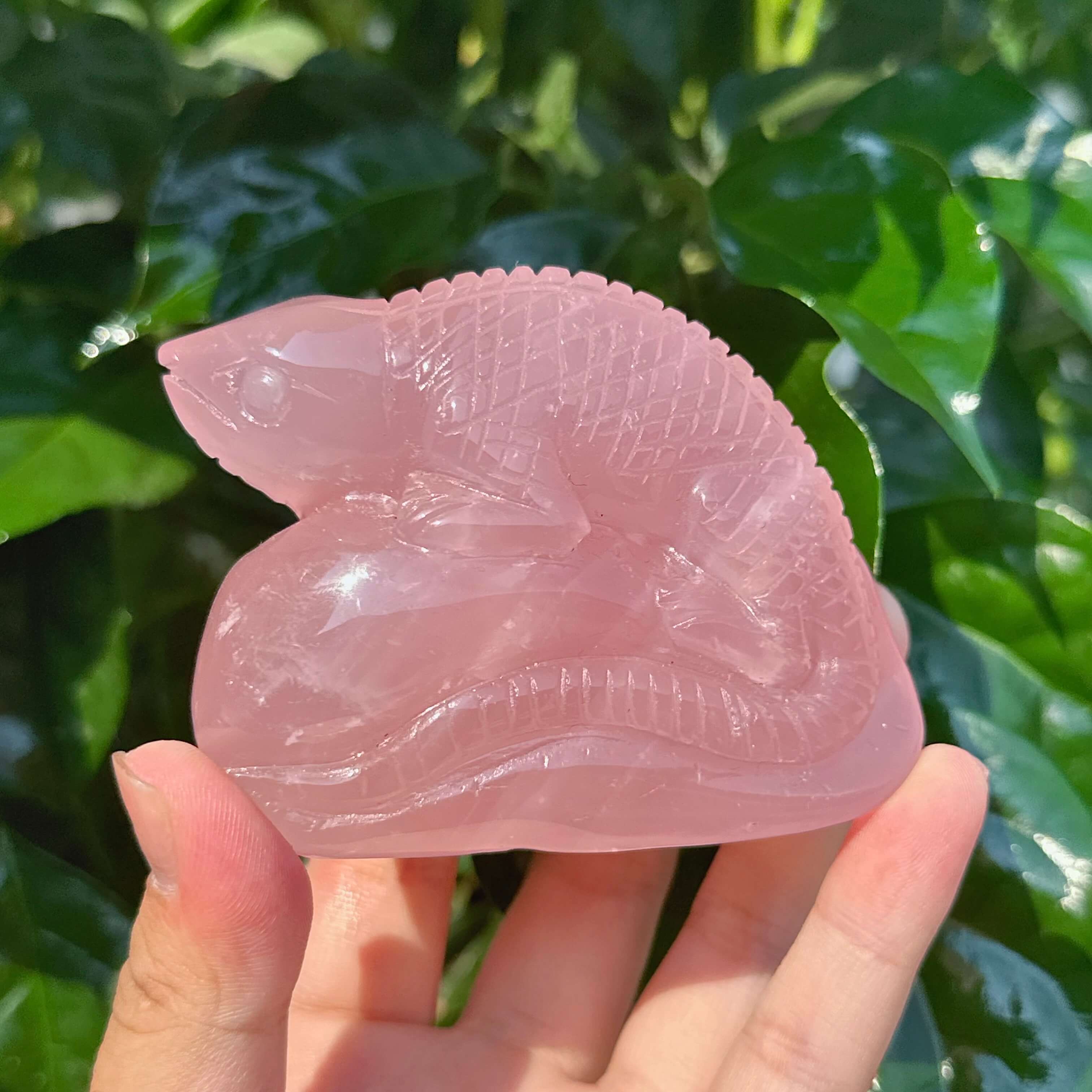 Rose Quartz Lizard Carving