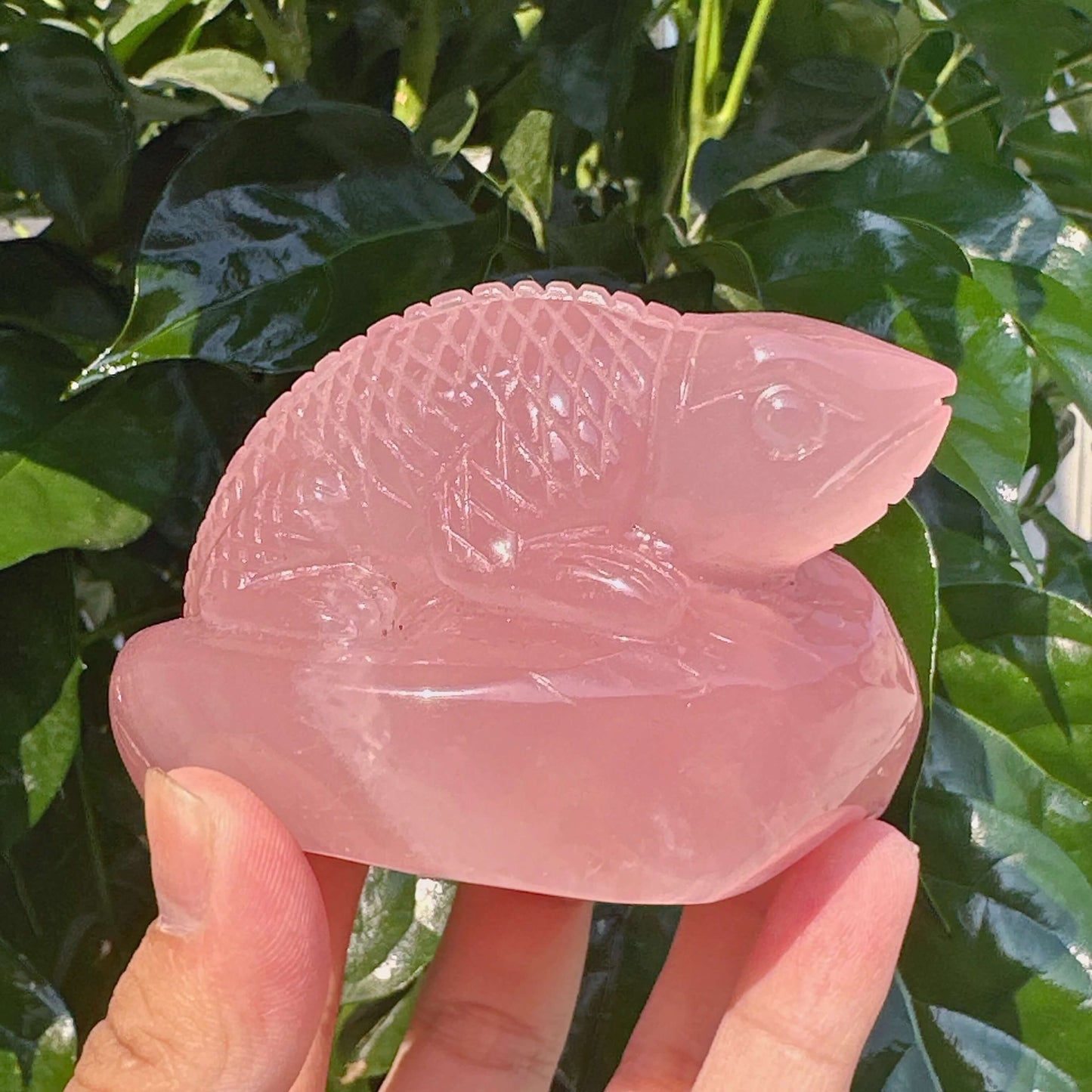 Rose Quartz Lizard Carving
