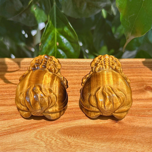 Tiger Eye Stone Dragon Turtle