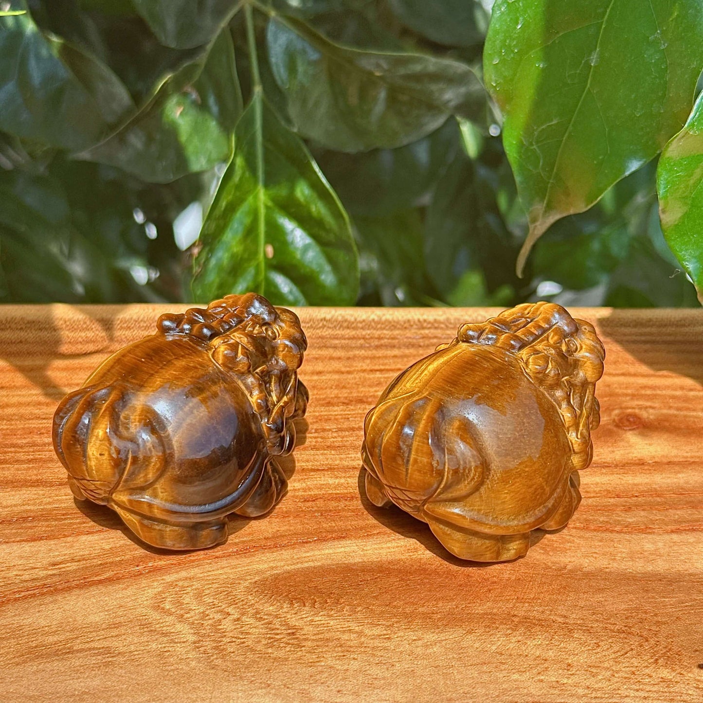 Tiger Eye Stone Dragon Turtle