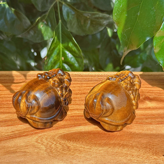 Tiger Eye Stone Dragon Turtle