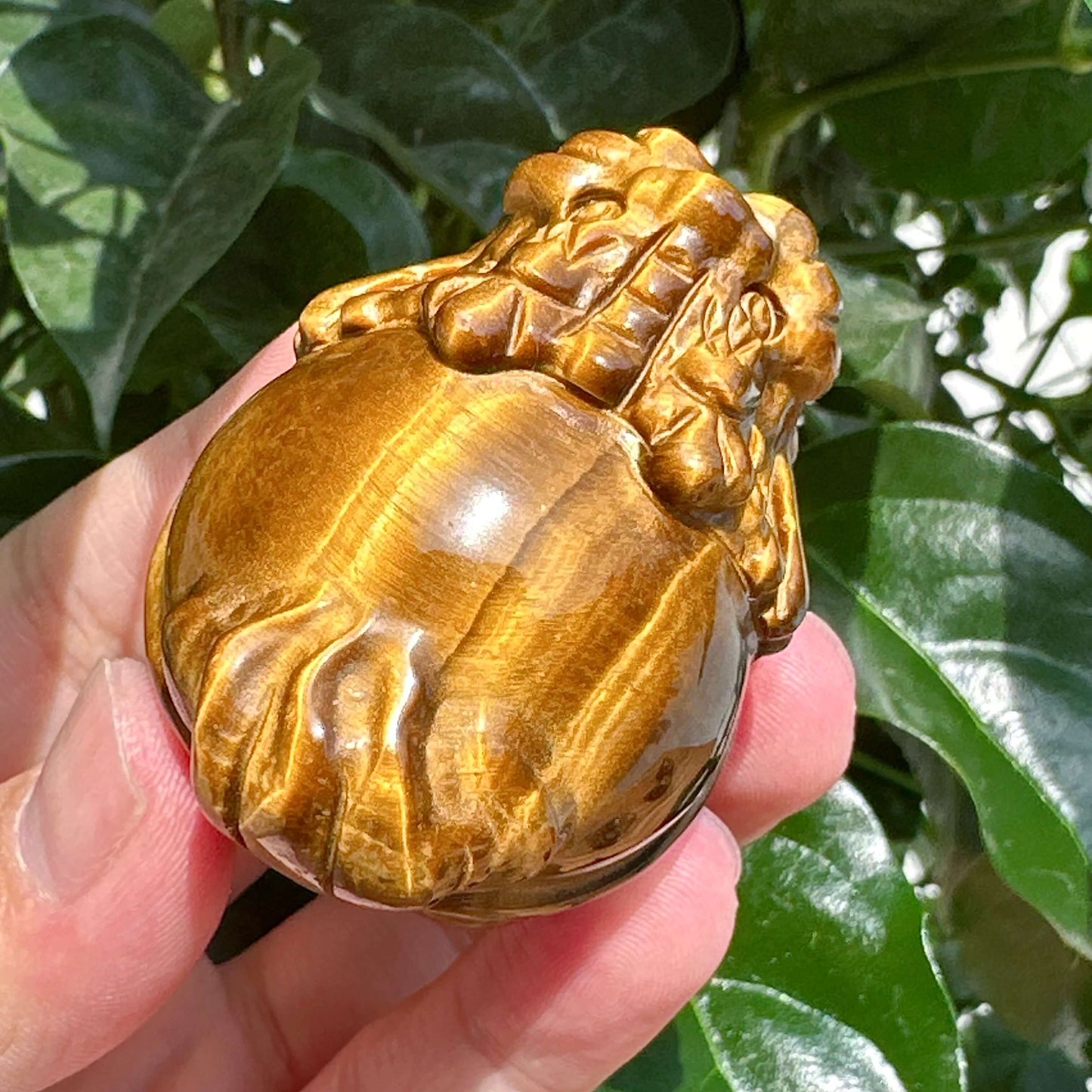 Tiger Eye Stone Dragon Turtle