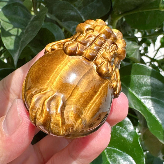 Tiger Eye Stone Dragon Turtle