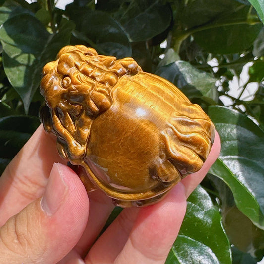 Tiger Eye Stone Dragon Turtle