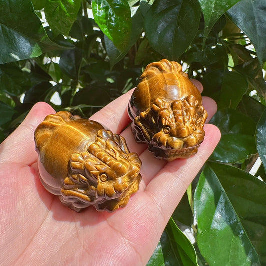 Tiger Eye Stone Dragon Turtle