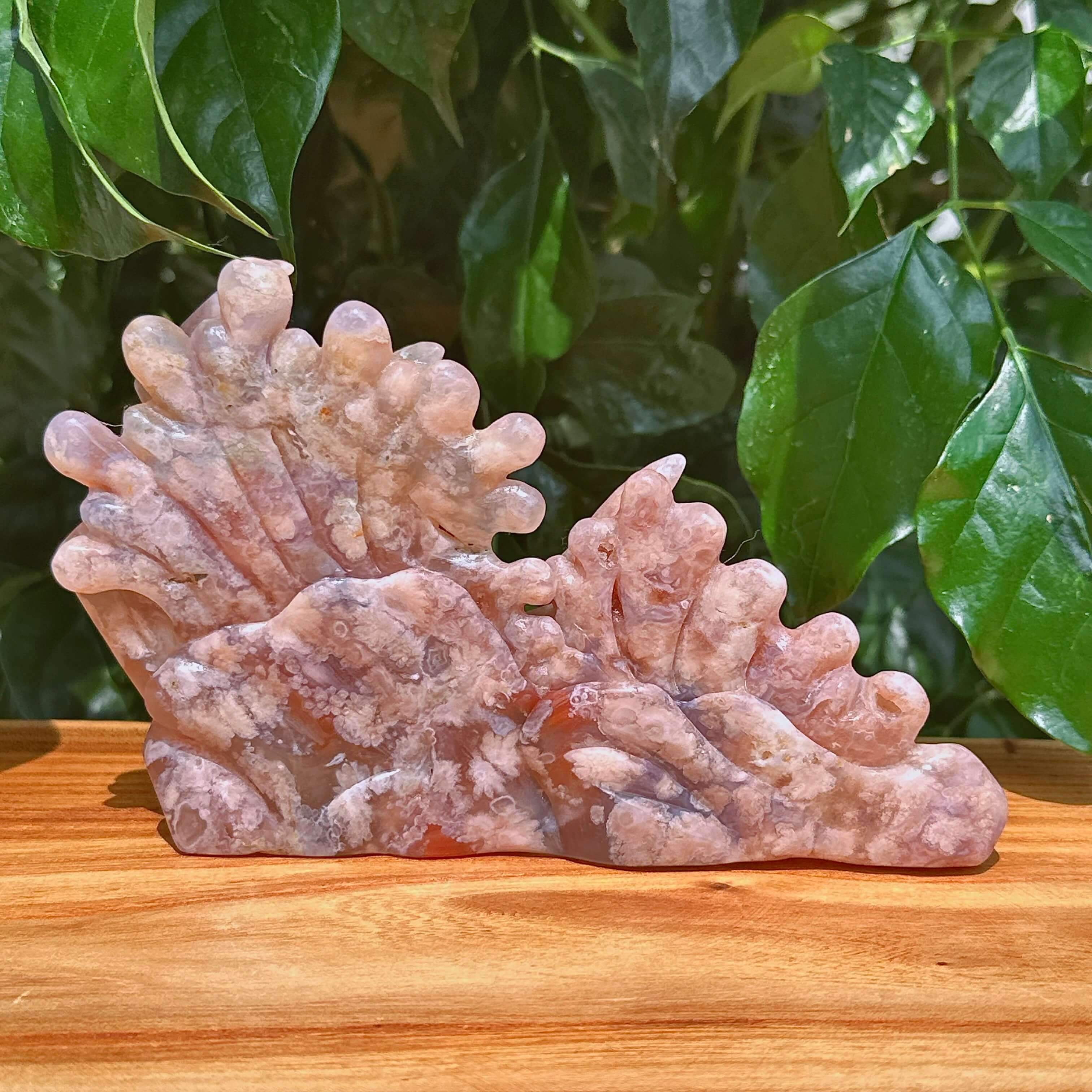 Flower Agate Underwater World Carving