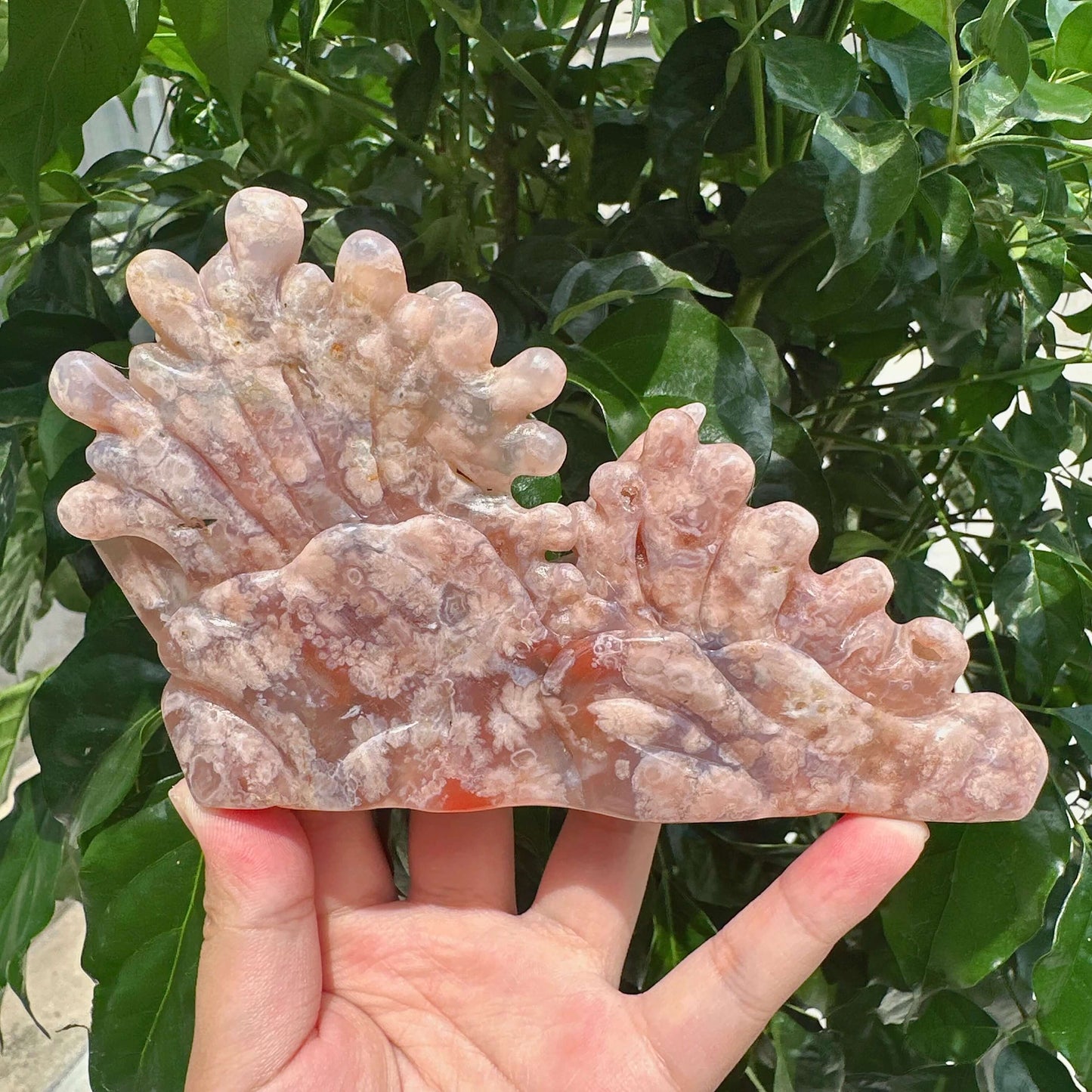 Flower Agate Underwater World Carving
