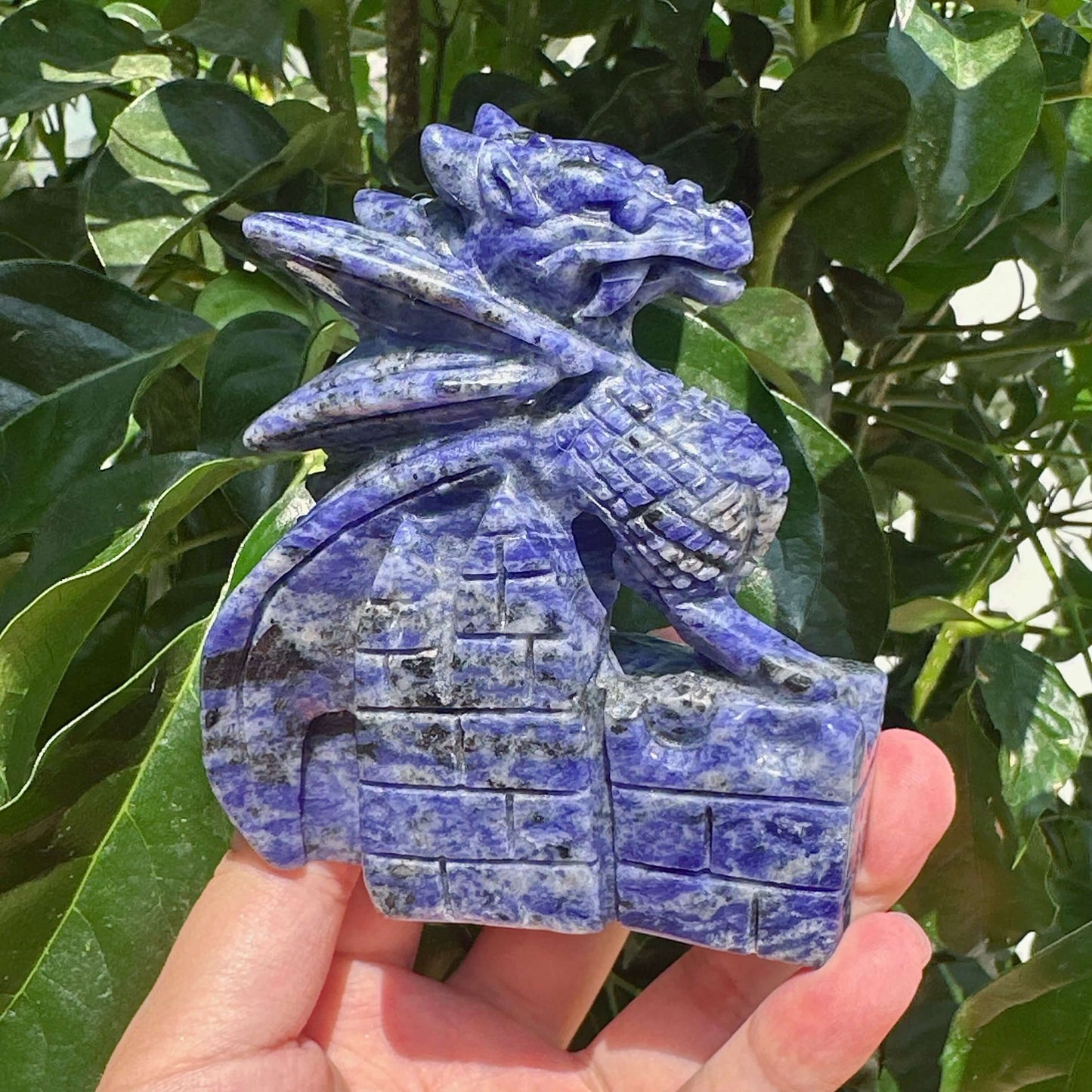 Sodalite Dragon Carving