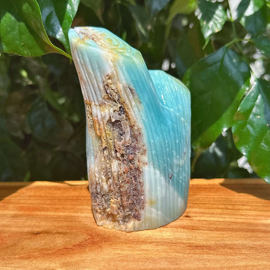 Sky Blue Amazonite Owl Carving